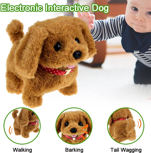 Toy dogs for - year, old