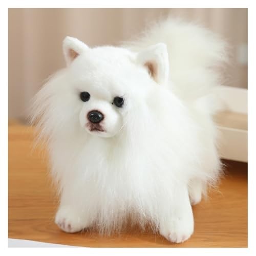 Soft pomeranian dog - soft, toy