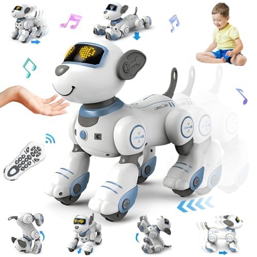 Remote control robot - control, dog