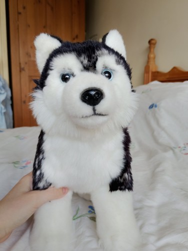 Dog plush husky - kids, toys