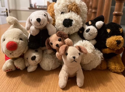 Dog teddies various brands - teddies,