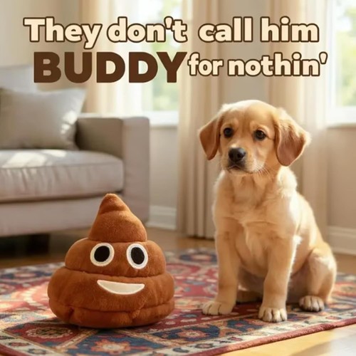 Poop toy with - toy, for