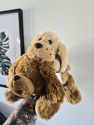 Plush puppy set cute - plush,