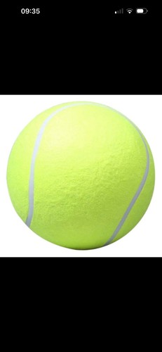 Inch giant dog - giant, ball