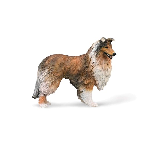 Collecta rough collie - rough,