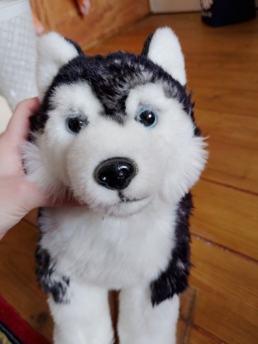 Dog plush husky kids soft - plush, toys