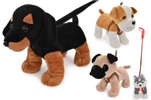 Standing dogs lead - dogs, on