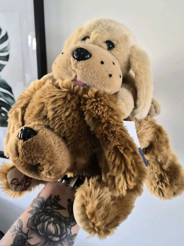 Plush puppy set - set, cute