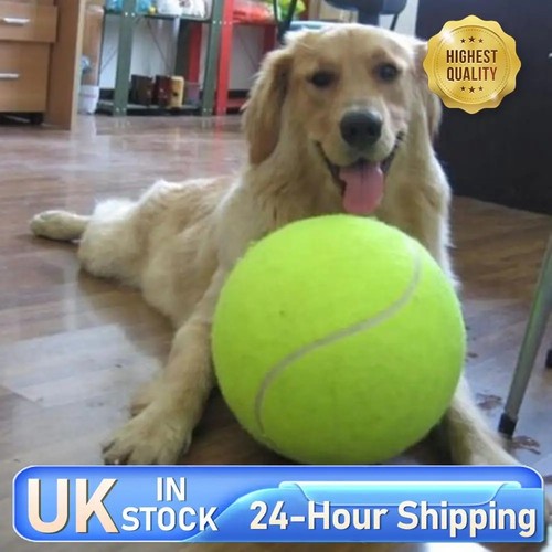 Inch giant dog - 9.5,
