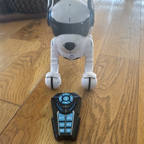 Walking dog toys - toys, for