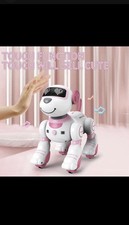 Robot dog for Kids Remote