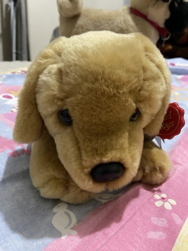 Cute fluffy golden brown - brown, beady